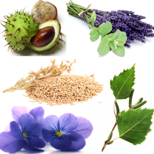 Купаж №45 CO2 экстракт с подтягивающим эффектом (водорастворимый)  