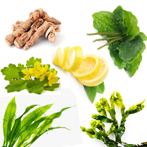 Купаж №86 СО2 экстрактов для проблемной жирной кожи  